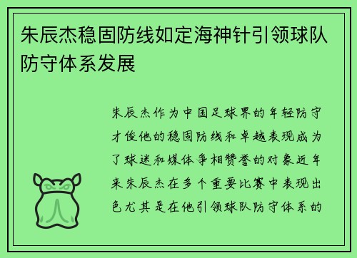 朱辰杰稳固防线如定海神针引领球队防守体系发展